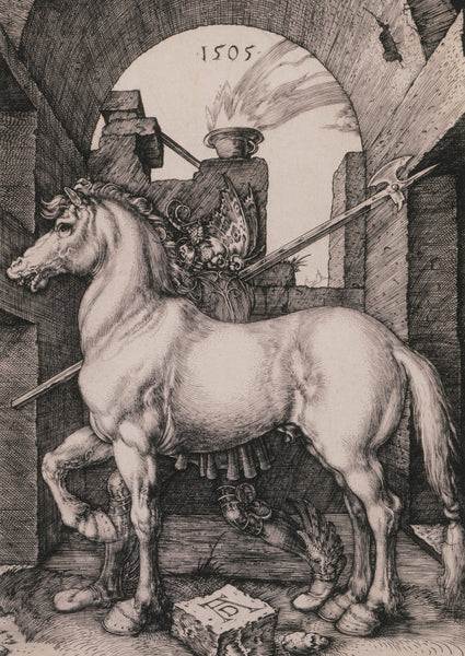 Groove: Durer - The Small Horse Postcard