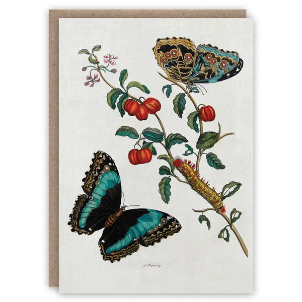 Caterpillar and Butterflies Notecard