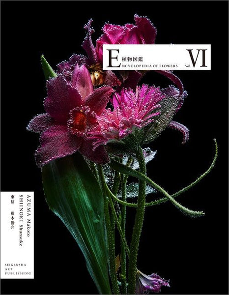 Encyclopedia of Flowers Volume VI