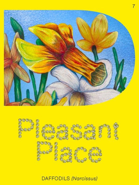 Pleasant Place 7: Daffodils
