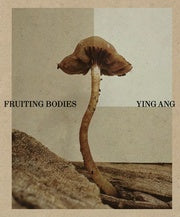 Ying Ang – Fruiting Bodies