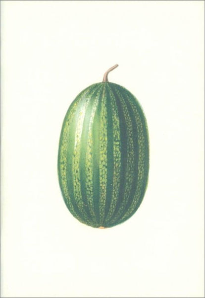 Notebook Vegetable Garden and Fruit Garden