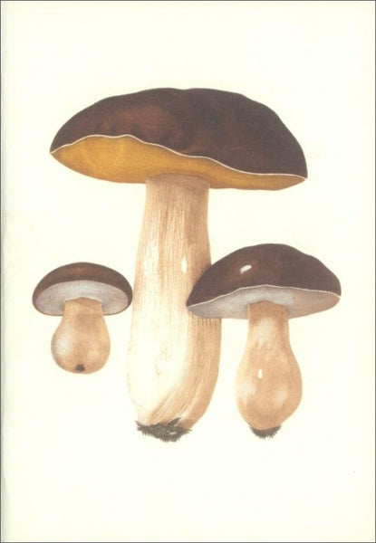 Notebook Edible and Poisonous Mushrooms