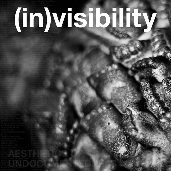 (In)visibility: Aesthetics of Undocumentedness