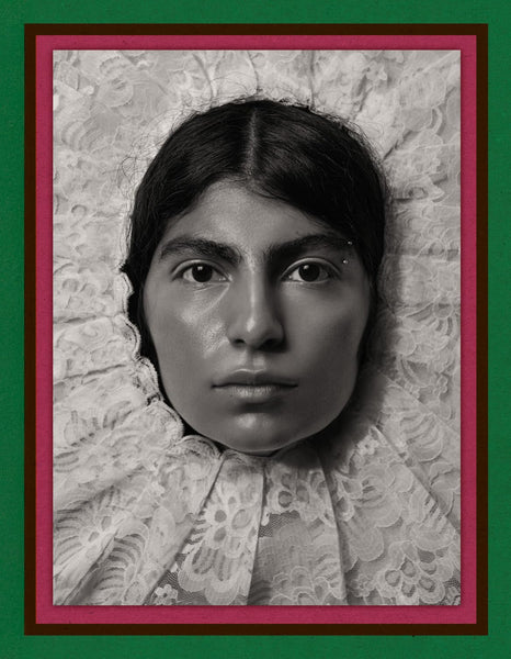 Pieter Henket: Birds of Mexico City