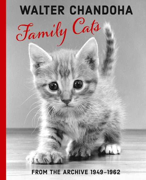 Walter Chandoha: Family Cats: From the Archive 1949–1968