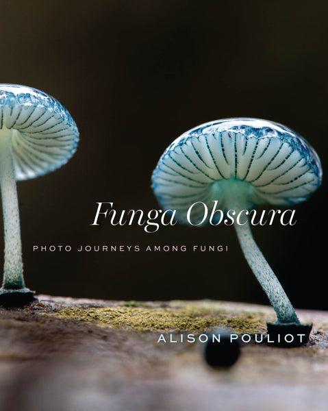 Funga Obscura Photo Journeys Among Fungi