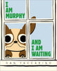I am Murphy and I am Waiting
