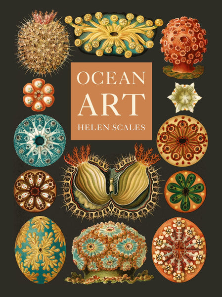 Ocean Art From the Shore to the Deep