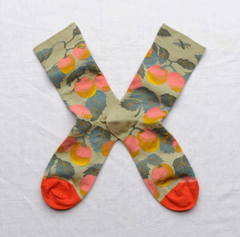 Le Poete Fruits Socks - Sauge