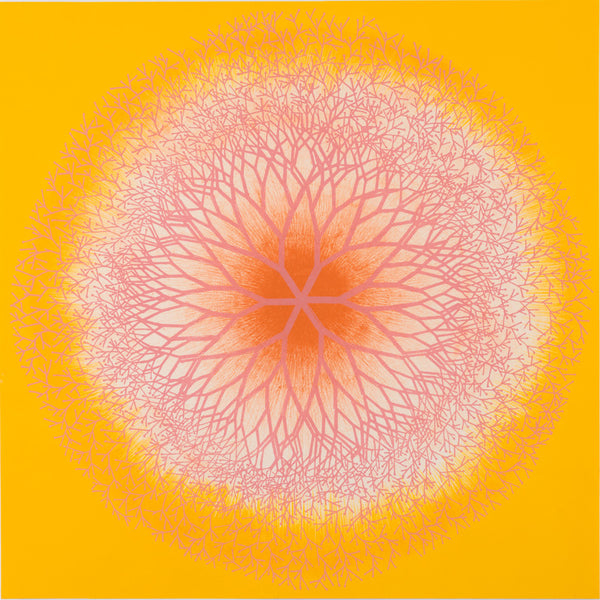 G70 Postcard Ruth Asawa, Desert Plant