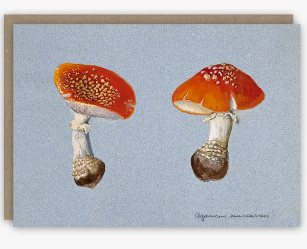 Fly Agaric Greeting Notecard