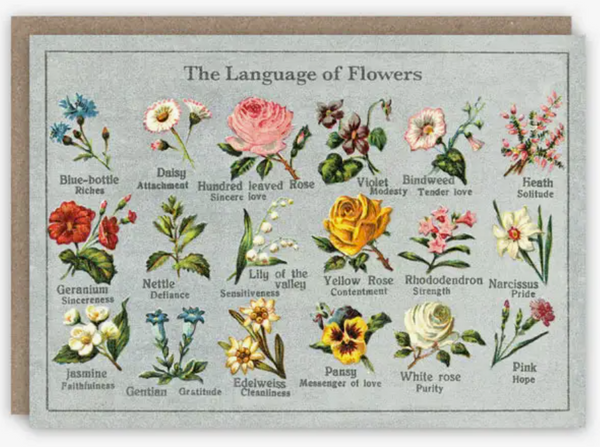Language of Flowers Greeting Card Notecard