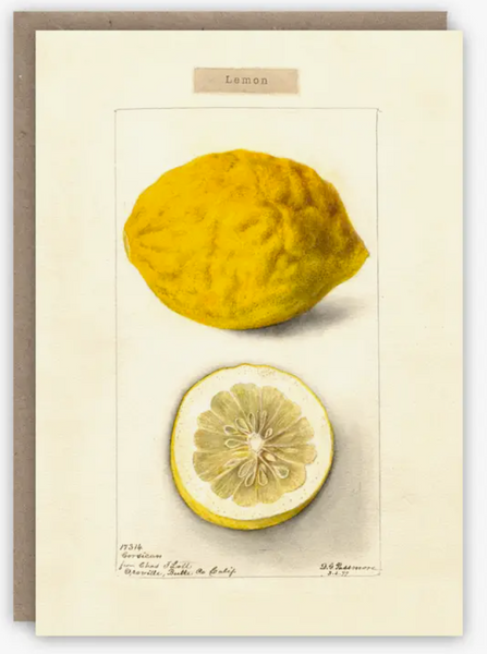 Lemon Greeting Card Notecard