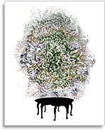 Another Kind of Record: The Merger, The Indictment and The Girl