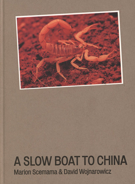 A Slow Boat To China - David Wojnarowicz, Marion Scemama
