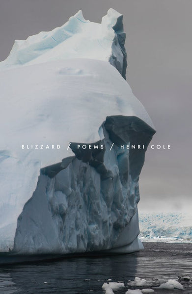 Blizzard: Poems (Hardcover)