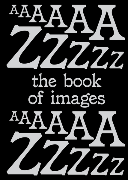 Book of Images: An Illustrated Dictionary of Visual Experiences