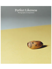Perfect Likeness: Photography and Composition