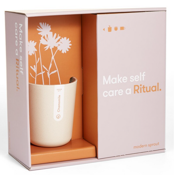 Modern Sprout: Ritual Live Well Gift Set